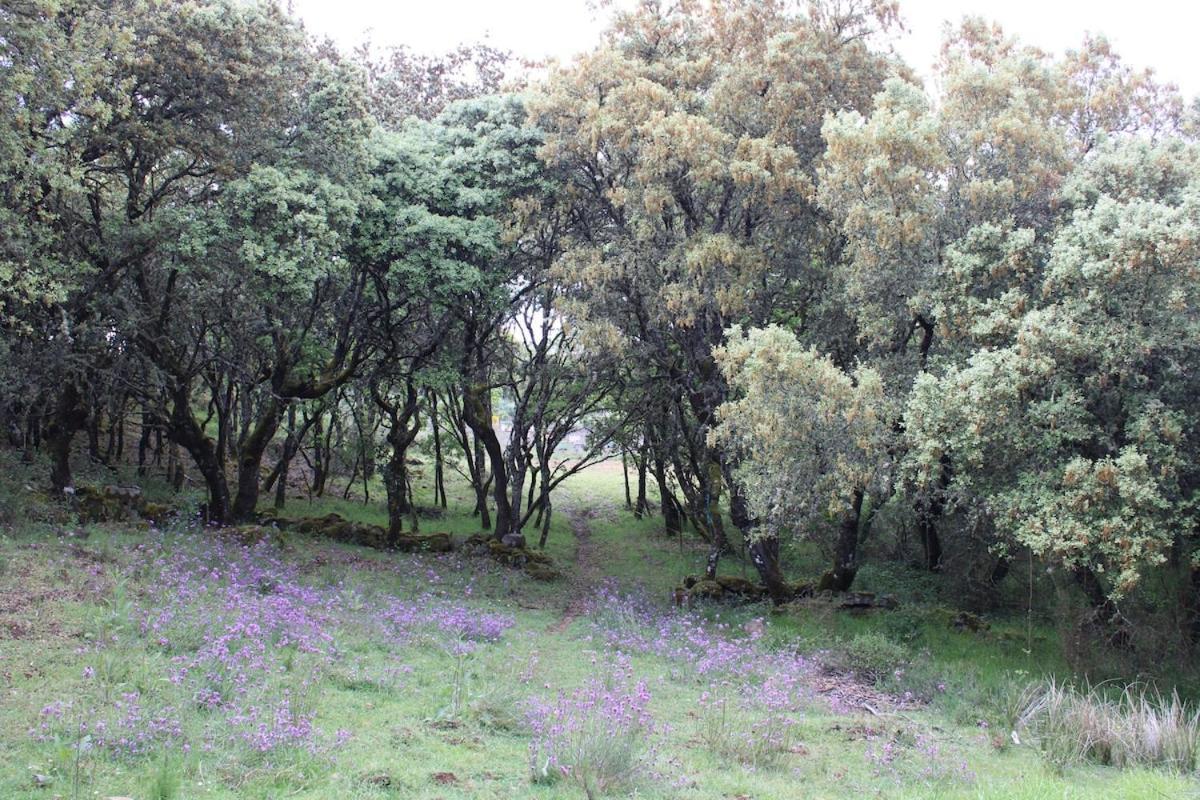 فندق Quinta Da Devesa -B2 فينهيس المظهر الخارجي الصورة